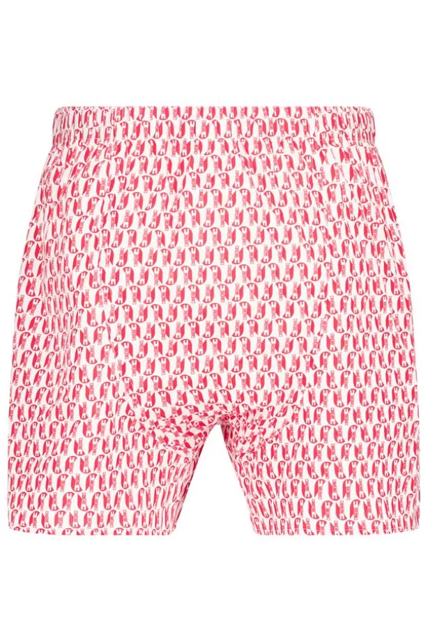 Boxershort Thomas P Utrecht Wijdvallende boxer met elastische tailleband en unieke prints geïnspireerd op Utrecht